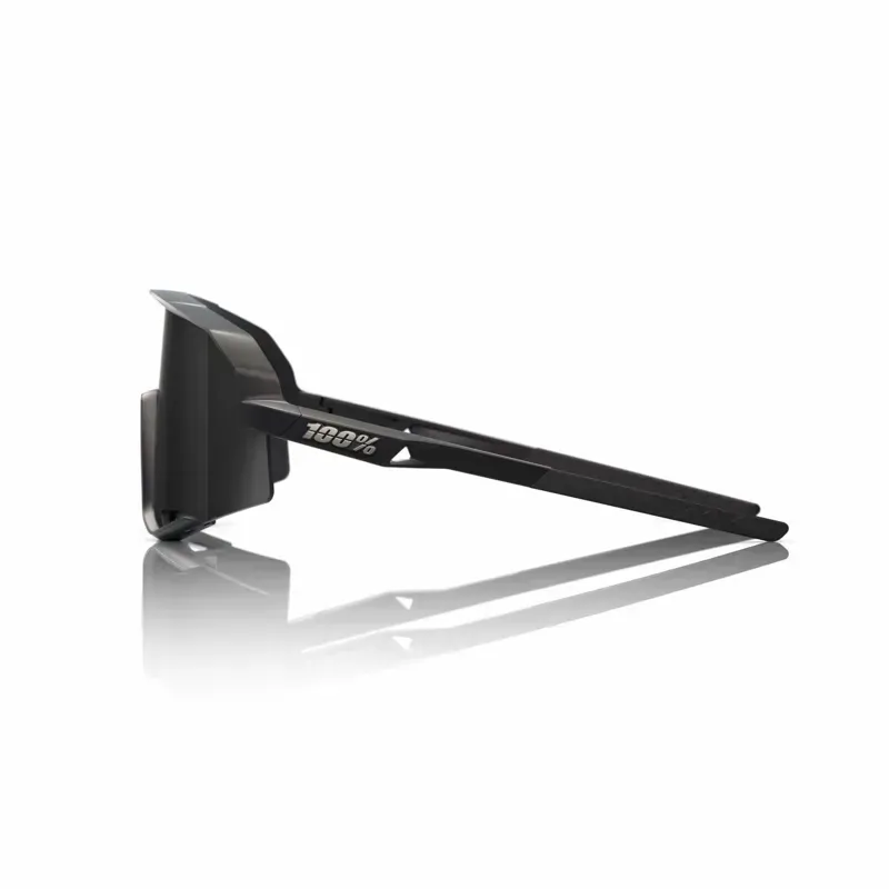 100% Slendale Smoke Lens Glasses in Black-1