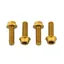 Wolf Tooth 4-piece Water Bottle Cage Bolts in Gold