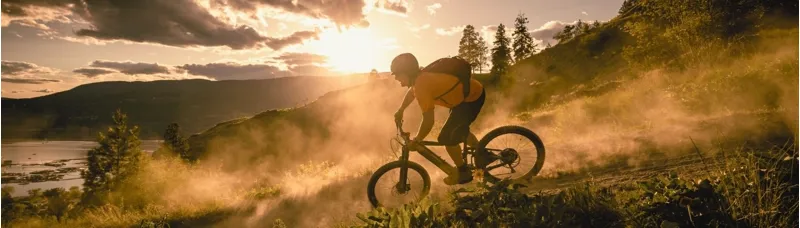 Hardtail Mountain E-Bikes