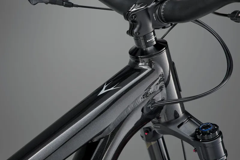 Whyte Sythe RS Enduro and Gravity Mountain Bike V1-1 in Chili Red -7