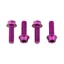 Wolf Tooth 4-piece Water Bottle Cage Bolts in Purple