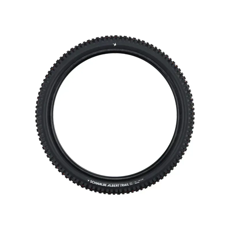 Schwalbe Albert Gravity Pro Radial Soft MTB Tyre In (fold) BLACK 2-2